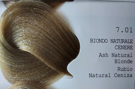 GET THE COLOR Farba 8.1 100 ml