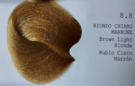 GET THE COLOR Farba 8.1 100 ml