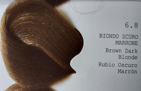 GET THE COLOR Farba 8.1 100 ml