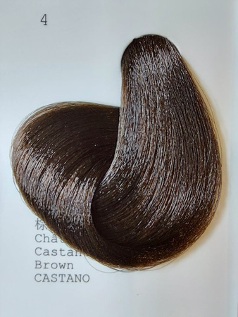 10 MIN Farba 6.1 60 ml