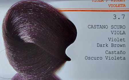 GET THE COLOR Farba 8.1 100 ml