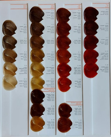 GET THE COLOR Farba 8.1 100 ml