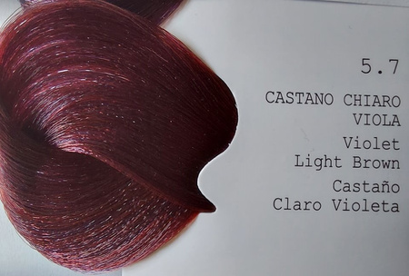 GET THE COLOR Farba 8.1 100 ml