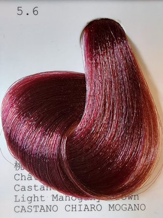 10 MIN Farba 10.1 60 ml