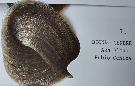 GET THE COLOR Farba 8.1 100 ml